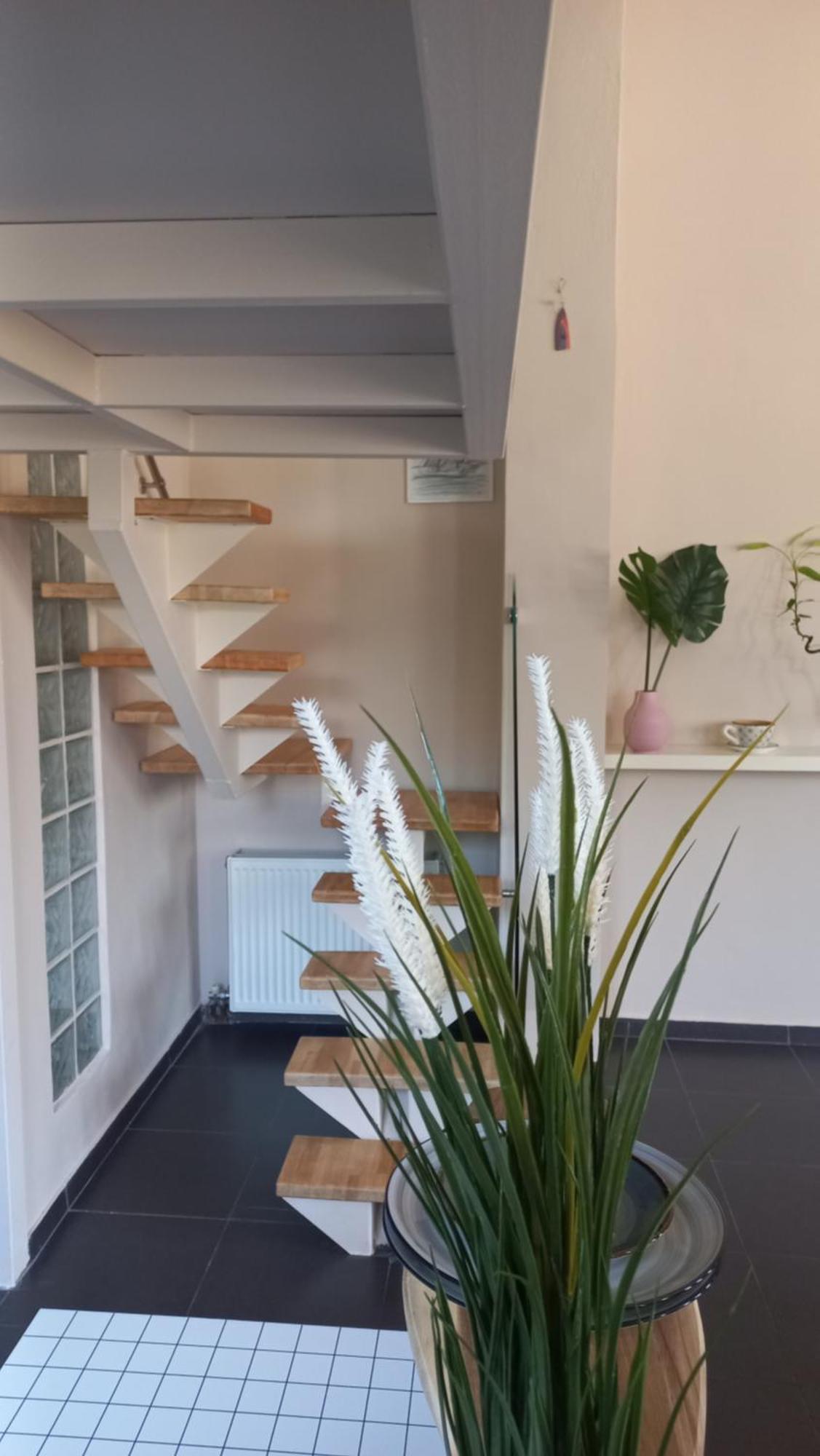 Apartment Urban Loft Living